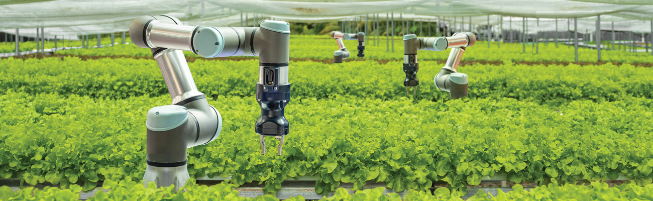 AI at Georgia Tech - robot arms working in an indoor garden fields