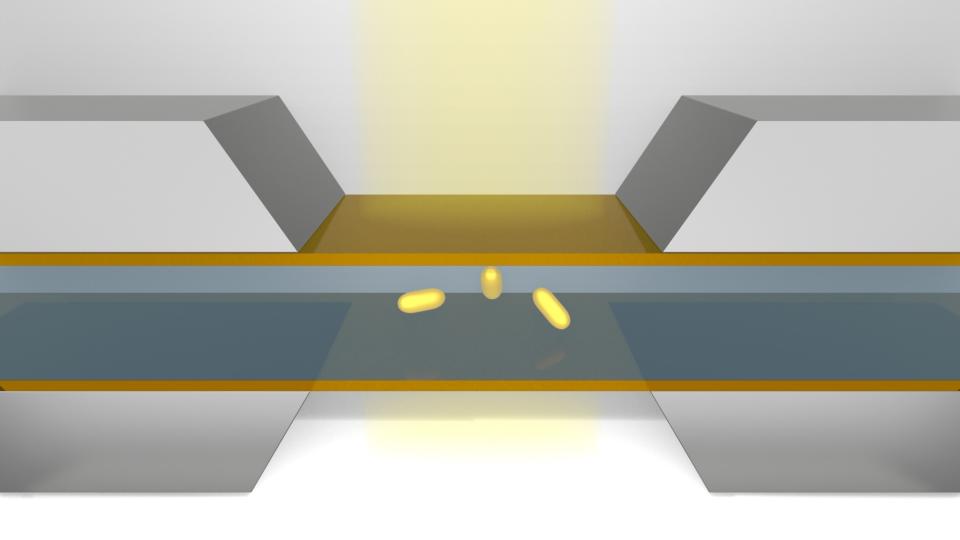 <p>Schematic showing nanoparticles in the microfluidic chamber of liquid-phase transmission electron microscopy</p> Schematic showing nanoparticles in the microfluidic chamber of liquid-phase transmission electron microscopy